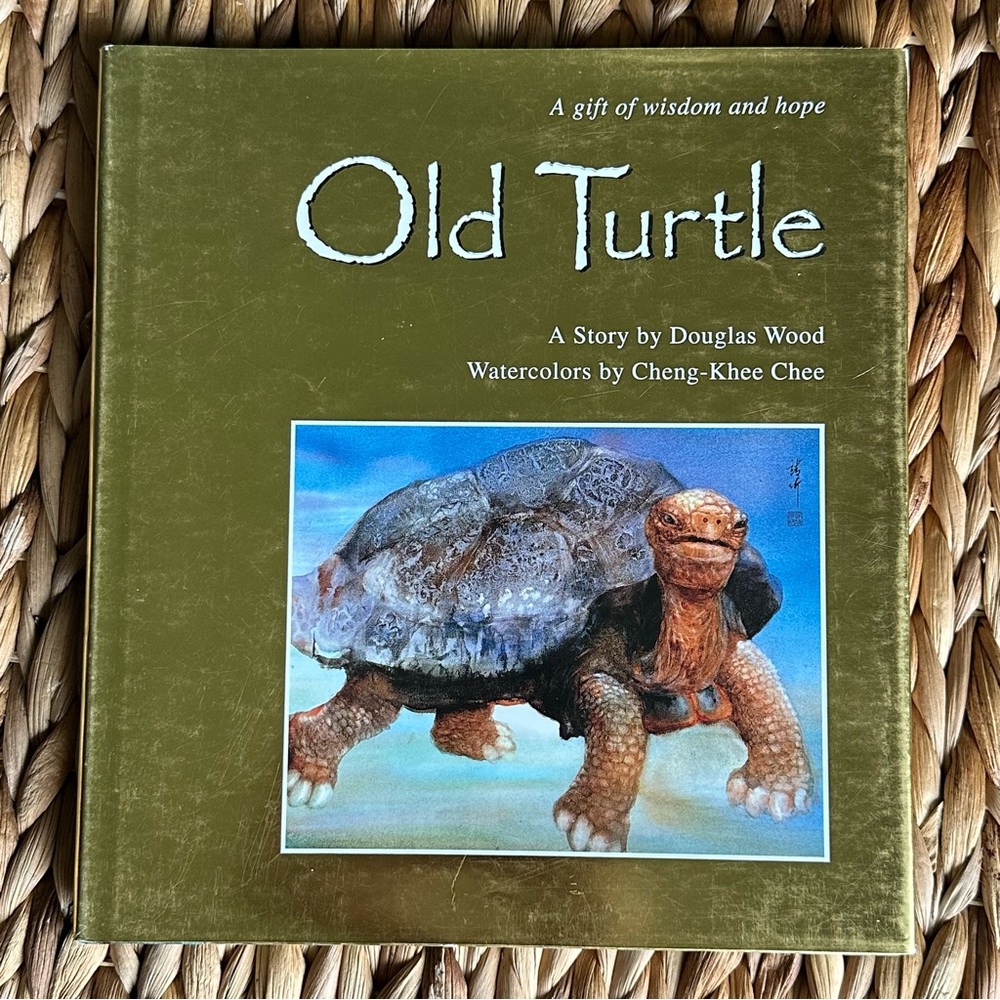 Old Turtle Book by Douglas Wood - Hardcover